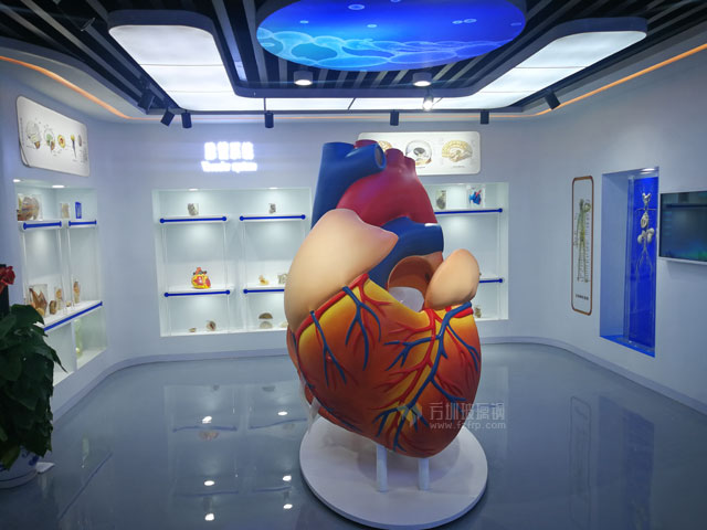 医学科教玻璃钢心脏大脑仿真模型雕塑