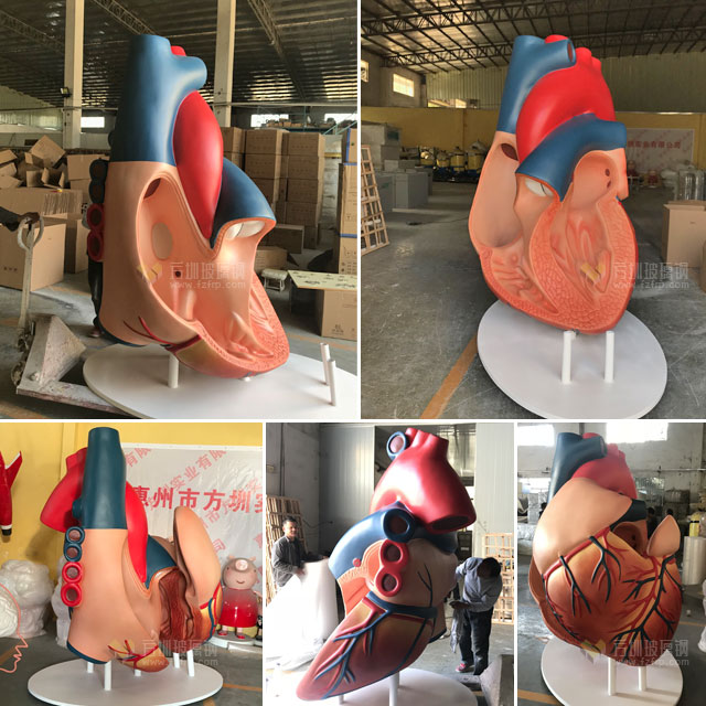 玻璃钢心脏模型雕塑山东医学人体仿真科教模型